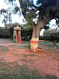 Ammari Amman Temple