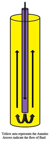 Annulus