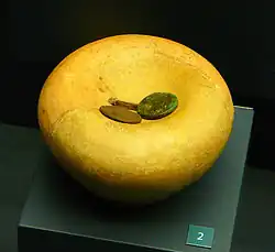 Roman vase-shaped money box (2nd/3rd century AD). Ancient money boxes appear in the archaeological record in a wide variety of shapes.[4]