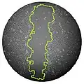 Black and white image of cutaneous cells healing in a Petri dish