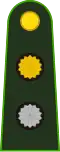 Teniente primero (Argentine Army)[7]