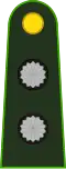 Teniente (Argentine Army)[7]