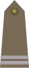 Kapral (Polish Land Forces)[61]