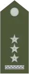 Rotmajster (Slovak Ground Forces)[8]