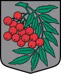 Coat of arms of Arona Parish