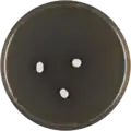 Aspergillus iizukae growing on MEAOX plate