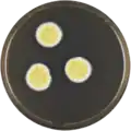 Aspergillus luppii growing on MEAOX plate