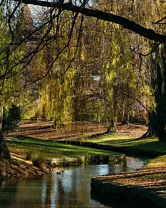 Pollard Park