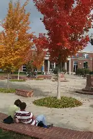 Library quad