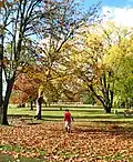 Playing in the autumn leaves