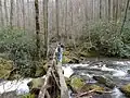 Bridge Crossing Jake's Creek below