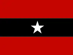 Flag of the Awami Tahreek (Pakistan)