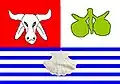 Flag of Conde