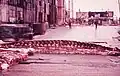 Backbone of fin whale used for bone meal (Bovril) (1960)