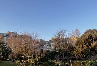 Balduina