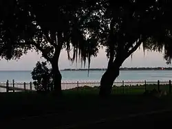 Ballast Point Neighborhood Overlooking Hillsborough Bay