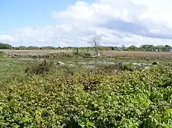 Ballinderreen Lough