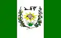 Flag of Alagoinha, Paraíba