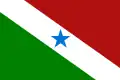 Flag of Itupiranga