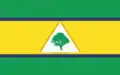Flag of Floresta do Piauí