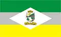 Flag of Botuverá