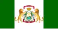 Flag of Barreiros