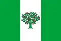 Flag of A Cañiza