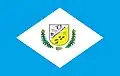 Flag of Campinaçu
