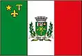 Flag of Canas