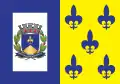 Flag of Descalvado