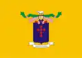 Flag of Francisco Dantas