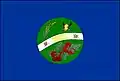 Flag of Goianápolis