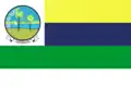 Flag of Porto, Piauí