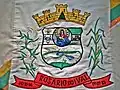 Flag of Rosário do Ivaí