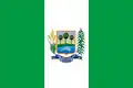 Flag of São José do Peixe