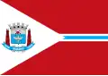 Flag of Suzano