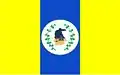 Flag of Itapipoca