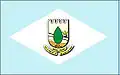 Flag of Erval Velho