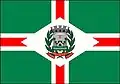 Flag of Palmital