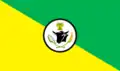 Flag of Villanueva, Casanare