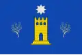 Flag of Aielo de Rugat