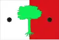 Flag of Begues