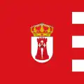 Flag of Cubillos