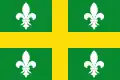 Flag of Derio