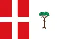 Flag of Espeja de San Marcelino