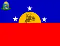 Flag of La Fría