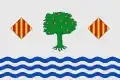 Flag of Polinyà de Xúquer