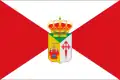 Flag of Pozorrubio, Spain