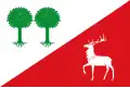 Flag of Robleda-Cervantes