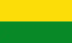Flag of San Carlos